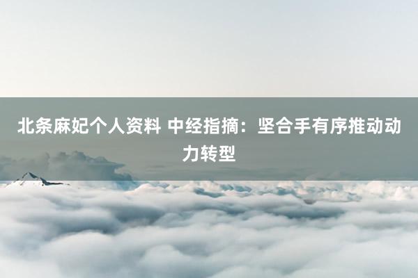 北条麻妃个人资料 中经指摘：坚合手有序推动动力转型