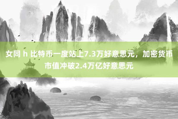 女同 h 比特币一度站上7.3万好意思元，加密货币市值冲破2.4万亿好意思元