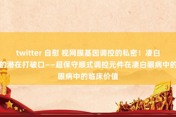 twitter 自慰 视网膜基因调控的私密！凄白眼病颐养的潜在打破口——超保守顺式调控元件在凄白眼病中的临床价值