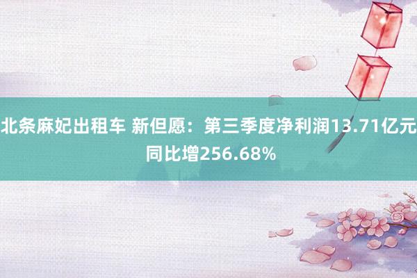 北条麻妃出租车 新但愿：第三季度净利润13.71亿元 同比增256.68%