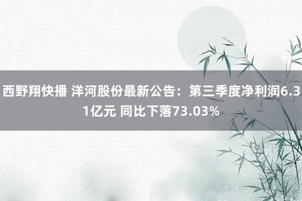 西野翔快播 洋河股份最新公告：第三季度净利润6.31亿元 同比下落73.03%