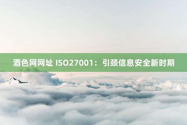 酒色网网址 ISO27001：引颈信息安全新时期