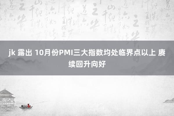 jk 露出 10月份PMI三大指数均处临界点以上 赓续回升向好