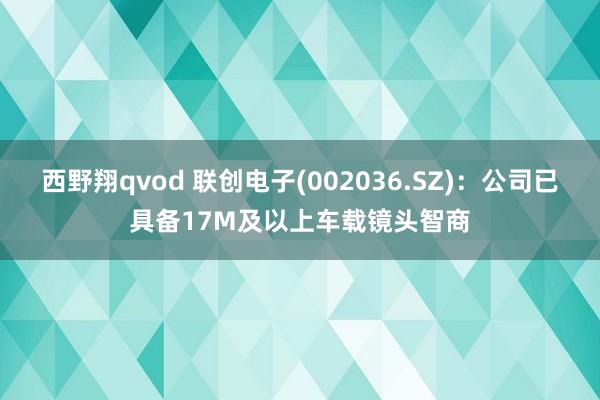 西野翔qvod 联创电子(002036.SZ)：公司已具备17M及以上车载镜头智商