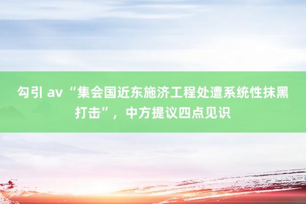 勾引 av “集会国近东施济工程处遭系统性抹黑打击”，中方提议四点见识