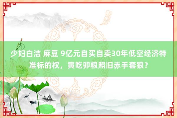 少妇白洁 麻豆 9亿元自买自卖30年低空经济特准标的权，寅吃卯粮照旧赤手套狼？