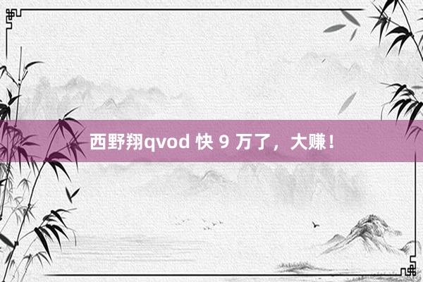 西野翔qvod 快 9 万了，大赚！