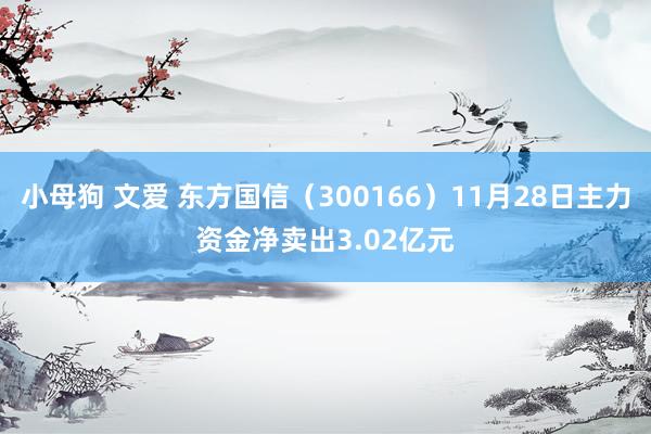 小母狗 文爱 东方国信（300166）11月28日主力资金净卖出3.02亿元