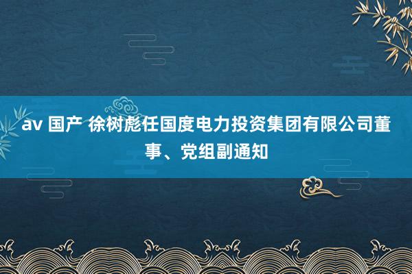 av 国产 徐树彪任国度电力投资集团有限公司董事、党组副通知