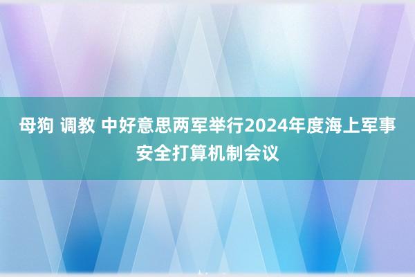 母狗 调教 中好意思两军举行2024年度海上军事安全打算机制会议