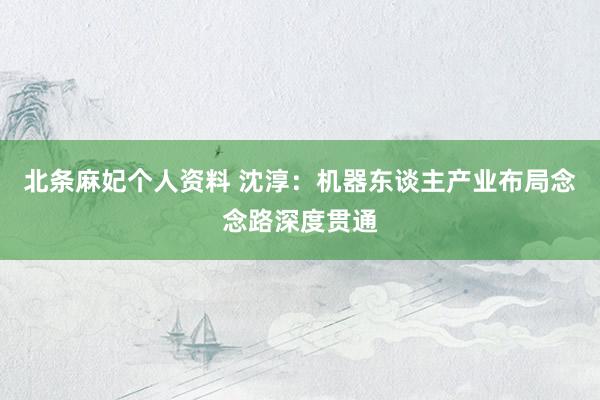 北条麻妃个人资料 沈淳：机器东谈主产业布局念念路深度贯通