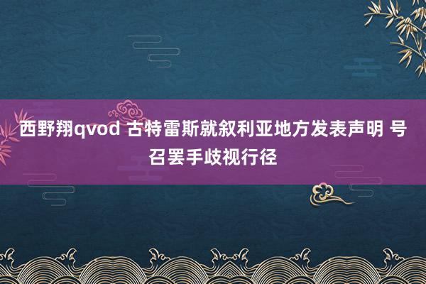 西野翔qvod 古特雷斯就叙利亚地方发表声明 号召罢手歧视行径