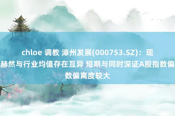 chloe 调教 漳州发展(000753.SZ)：现时市盈率赫然与行业均值存在互异 短期与同时深证A股指数偏离度较大