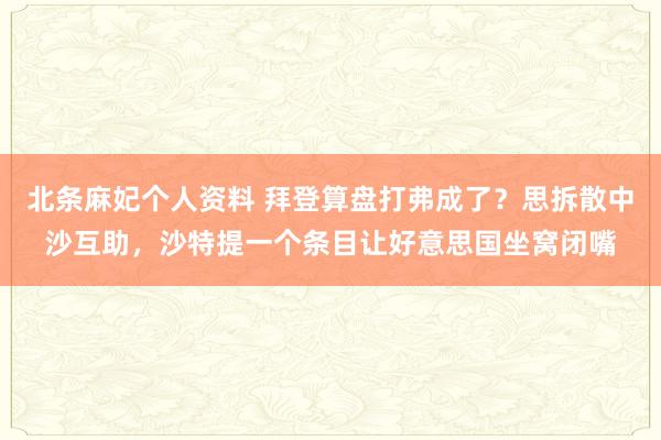 北条麻妃个人资料 拜登算盘打弗成了？思拆散中沙互助，沙特提一个条目让好意思国坐窝闭嘴