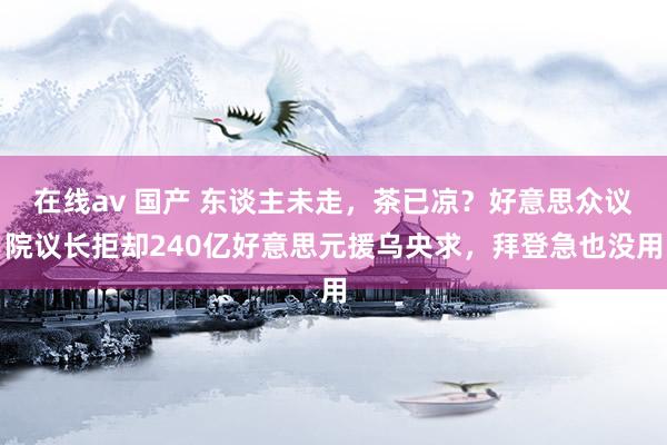 在线av 国产 东谈主未走，茶已凉？好意思众议院议长拒却240亿好意思元援乌央求，拜登急也没用