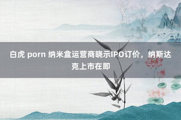 白虎 porn 纳米盒运营商晓示IPO订价，纳斯达克上市在即