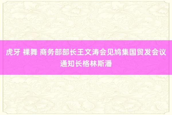 虎牙 裸舞 商务部部长王文涛会见鸠集国贸发会议通知长格林斯潘