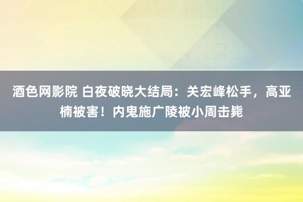 酒色网影院 白夜破晓大结局：关宏峰松手，高亚楠被害！内鬼施广陵被小周击毙