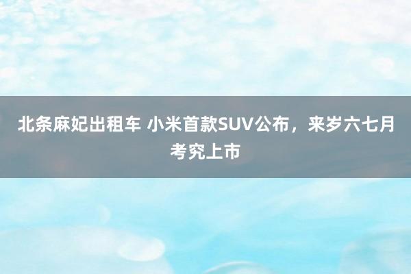 北条麻妃出租车 小米首款SUV公布，来岁六七月考究上市