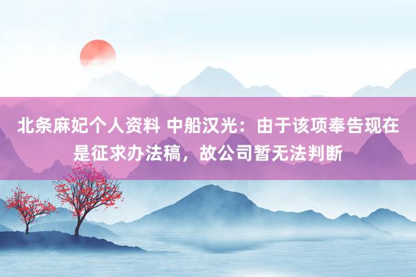 北条麻妃个人资料 中船汉光：由于该项奉告现在是征求办法稿，故公司暂无法判断