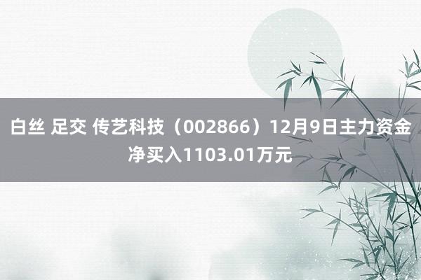 白丝 足交 传艺科技（002866）12月9日主力资金净买入1103.01万元