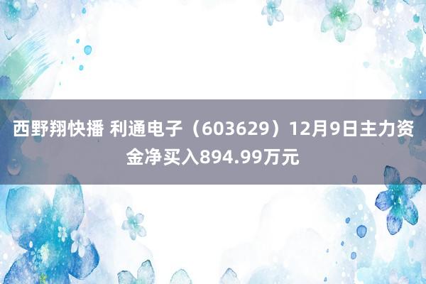 西野翔快播 利通电子（603629）12月9日主力资金净买入894.99万元