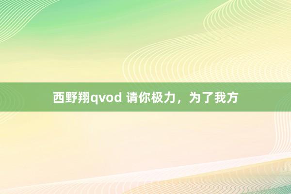 西野翔qvod 请你极力，为了我方