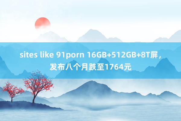 sites like 91porn 16GB+512GB+8T屏，发布八个月跌至1764元