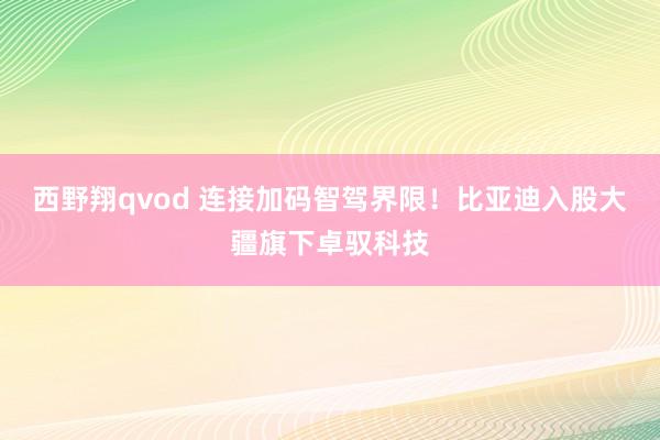 西野翔qvod 连接加码智驾界限！比亚迪入股大疆旗下卓驭科技