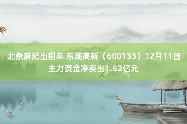 北条麻妃出租车 东湖高新（600133）12月11日主力资金净卖出1.62亿元