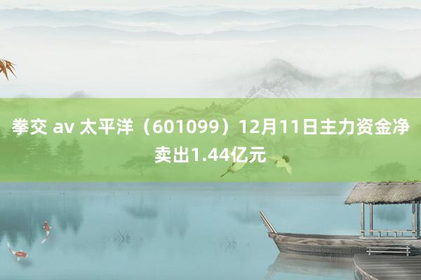 拳交 av 太平洋（601099）12月11日主力资金净卖出1.44亿元