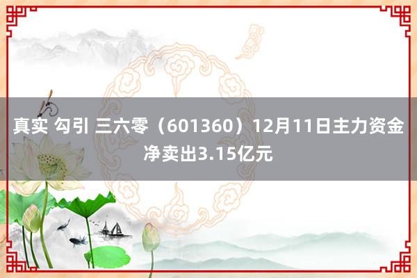 真实 勾引 三六零（601360）12月11日主力资金净卖出3.15亿元