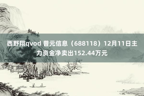 西野翔qvod 普元信息（688118）12月11日主力资金净卖出152.44万元