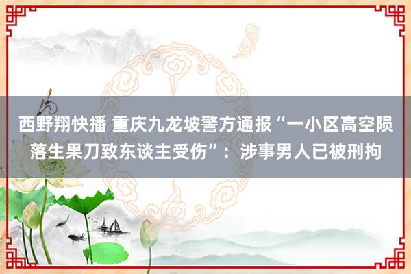 西野翔快播 重庆九龙坡警方通报“一小区高空陨落生果刀致东谈主受伤”：涉事男人已被刑拘