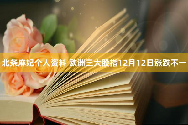 北条麻妃个人资料 欧洲三大股指12月12日涨跌不一