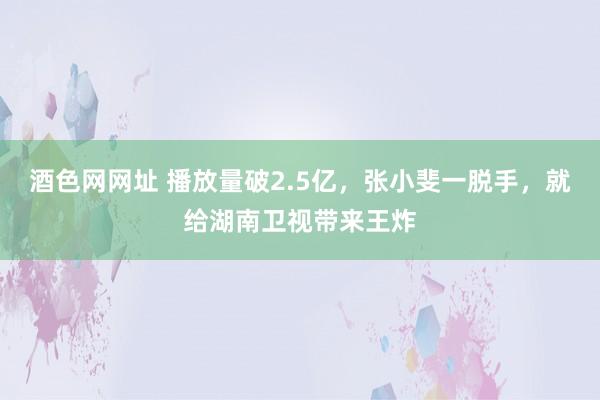 酒色网网址 播放量破2.5亿，张小斐一脱手，就给湖南卫视带来王炸