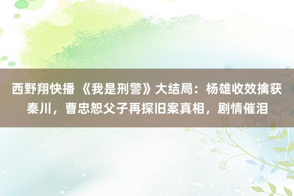 西野翔快播 《我是刑警》大结局：杨雄收效擒获秦川，曹忠恕父子再探旧案真相，剧情催泪