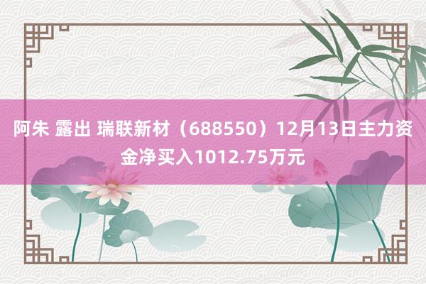 阿朱 露出 瑞联新材（688550）12月13日主力资金净买入1012.75万元