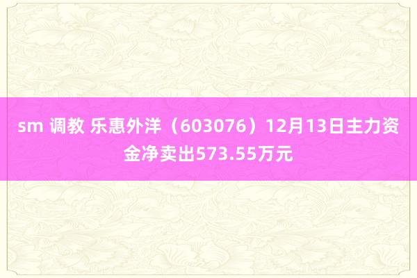 sm 调教 乐惠外洋（603076）12月13日主力资金净卖出573.55万元