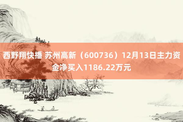 西野翔快播 苏州高新（600736）12月13日主力资金净买入1186.22万元