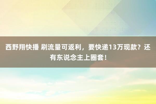 西野翔快播 刷流量可返利，要快递13万现款？还有东说念主上圈套！