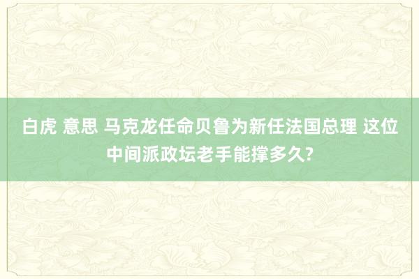 白虎 意思 马克龙任命贝鲁为新任法国总理 这位中间派政坛老手能撑多久?