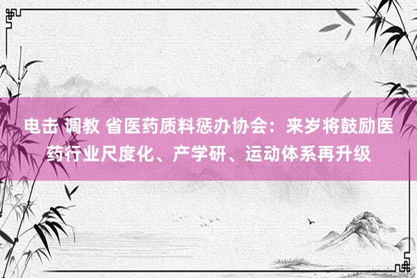 电击 调教 省医药质料惩办协会：来岁将鼓励医药行业尺度化、产学研、运动体系再升级