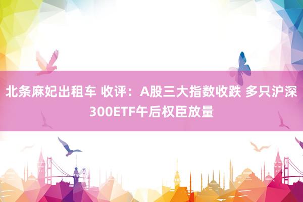 北条麻妃出租车 收评：A股三大指数收跌 多只沪深300ETF午后权臣放量