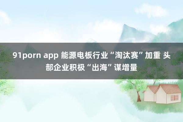 91porn app 能源电板行业“淘汰赛”加重 头部企业积极“出海”谋增量