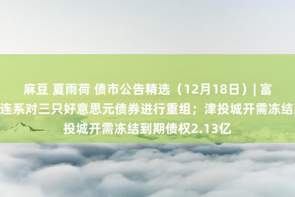 麻豆 夏雨荷 债市公告精选（12月18日）| 富力地产附庸公司连系对三只好意思元债券进行重组；津投城开需冻结到期债权2.13亿