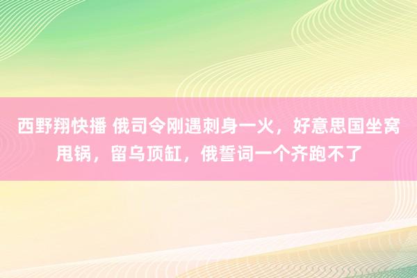 西野翔快播 俄司令刚遇刺身一火，好意思国坐窝甩锅，留乌顶缸，俄誓词一个齐跑不了