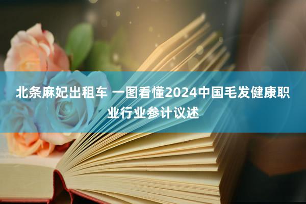 北条麻妃出租车 一图看懂2024中国毛发健康职业行业参计议述