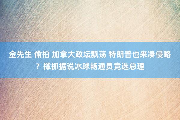 金先生 偷拍 加拿大政坛飘荡 特朗普也来凑侵略？撑抓据说冰球畅通员竞选总理