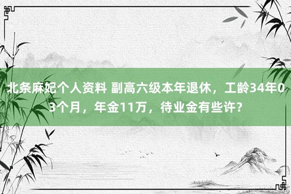 北条麻妃个人资料 副高六级本年退休，工龄34年03个月，年金11万，待业金有些许？